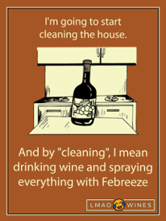 Cleaning the house